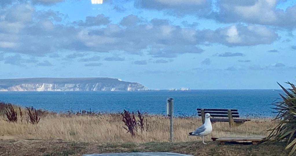 Shorefield Country Park, Where The New Forest Meets The Sea, Passes For All Entertainment Included Milford on Sea Dış mekan fotoğraf