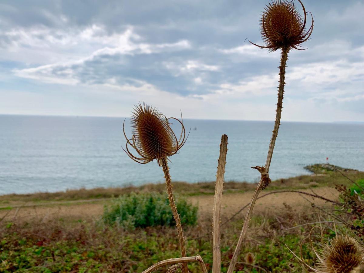 Shorefield Country Park, Where The New Forest Meets The Sea, Passes For All Entertainment Included Milford on Sea Dış mekan fotoğraf