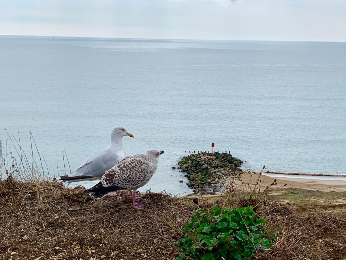 Shorefield Country Park, Where The New Forest Meets The Sea, Passes For All Entertainment Included Milford on Sea Dış mekan fotoğraf
