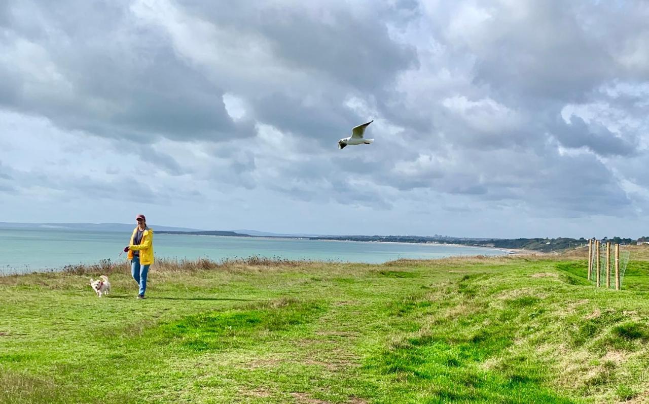 Shorefield Country Park, Where The New Forest Meets The Sea, Passes For All Entertainment Included Milford on Sea Dış mekan fotoğraf