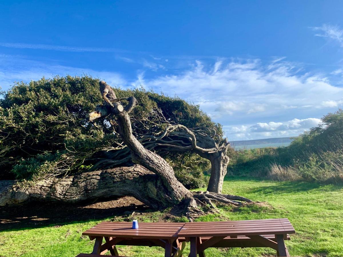 Shorefield Country Park, Where The New Forest Meets The Sea, Passes For All Entertainment Included Milford on Sea Dış mekan fotoğraf